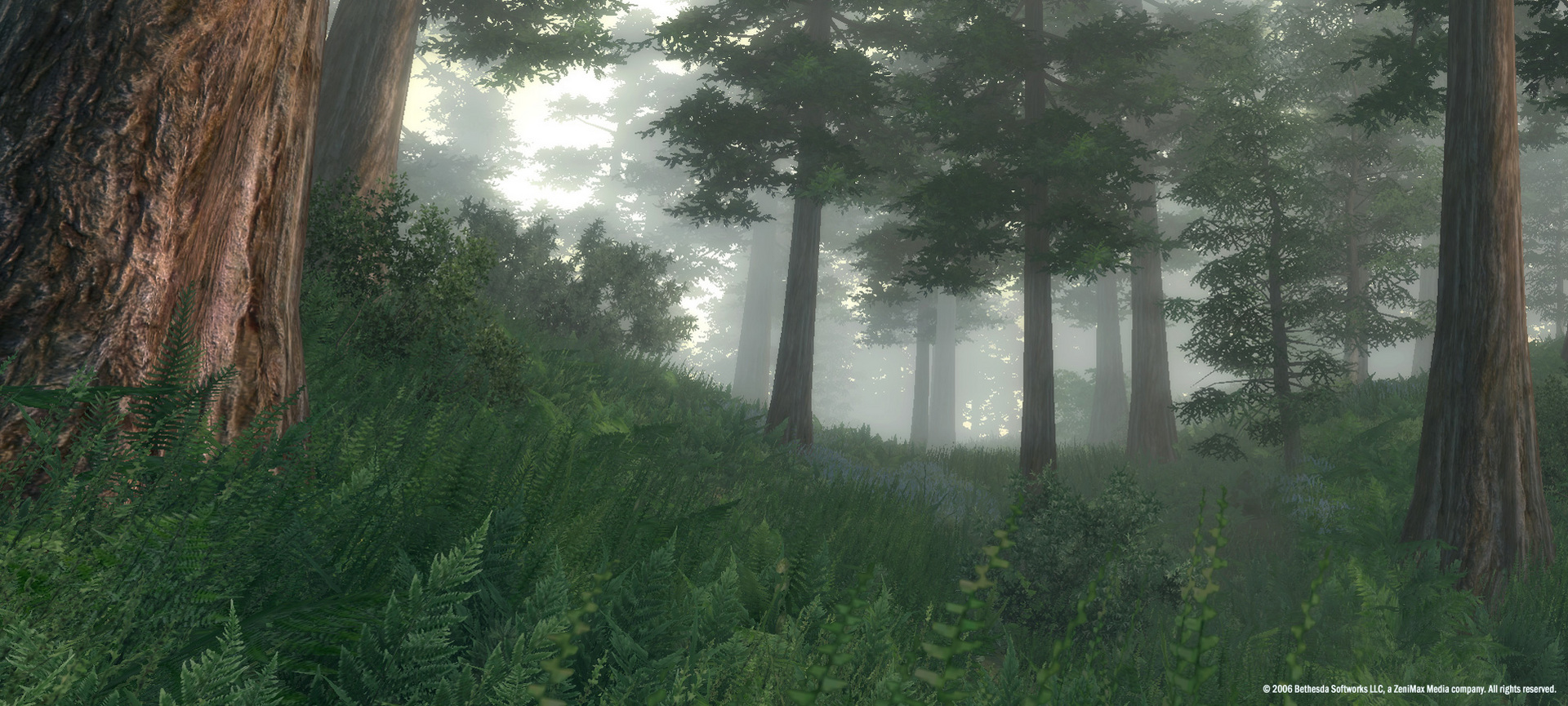 The Elder Scrolls IV: Oblivion® Game of the Year Edition (2009) Preview 1