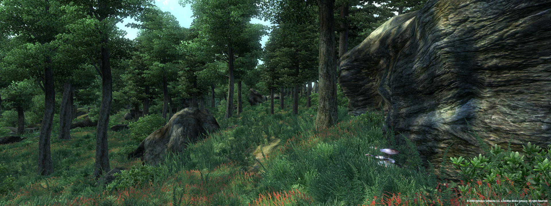 The Elder Scrolls IV: Oblivion® Game of the Year Edition (2009) Preview 2