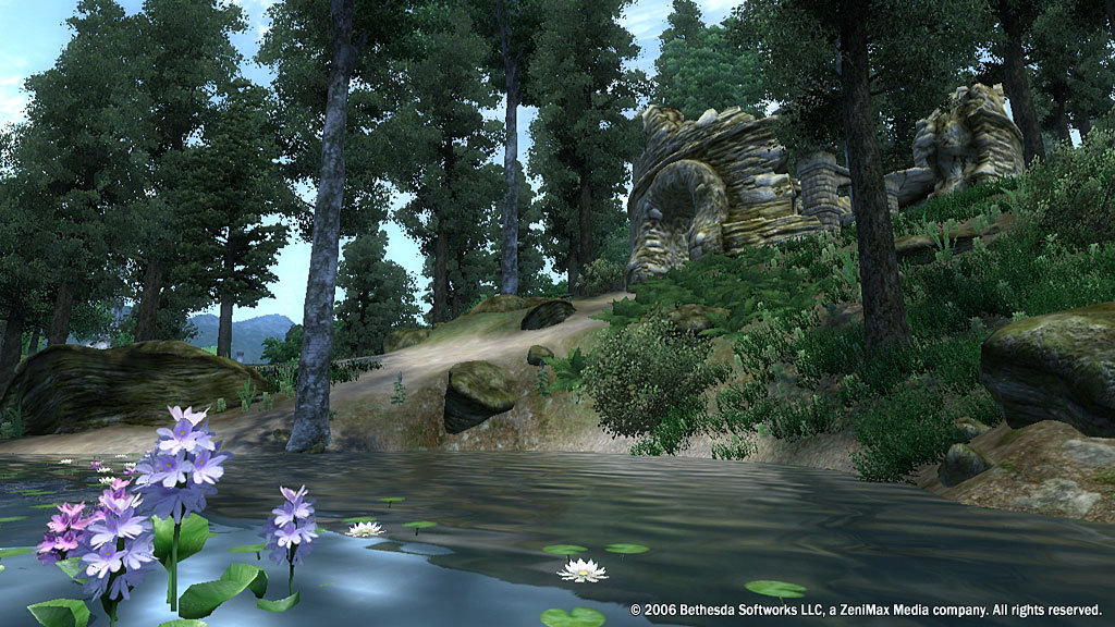 The Elder Scrolls IV: Oblivion® Game of the Year Edition (2009) Preview 3