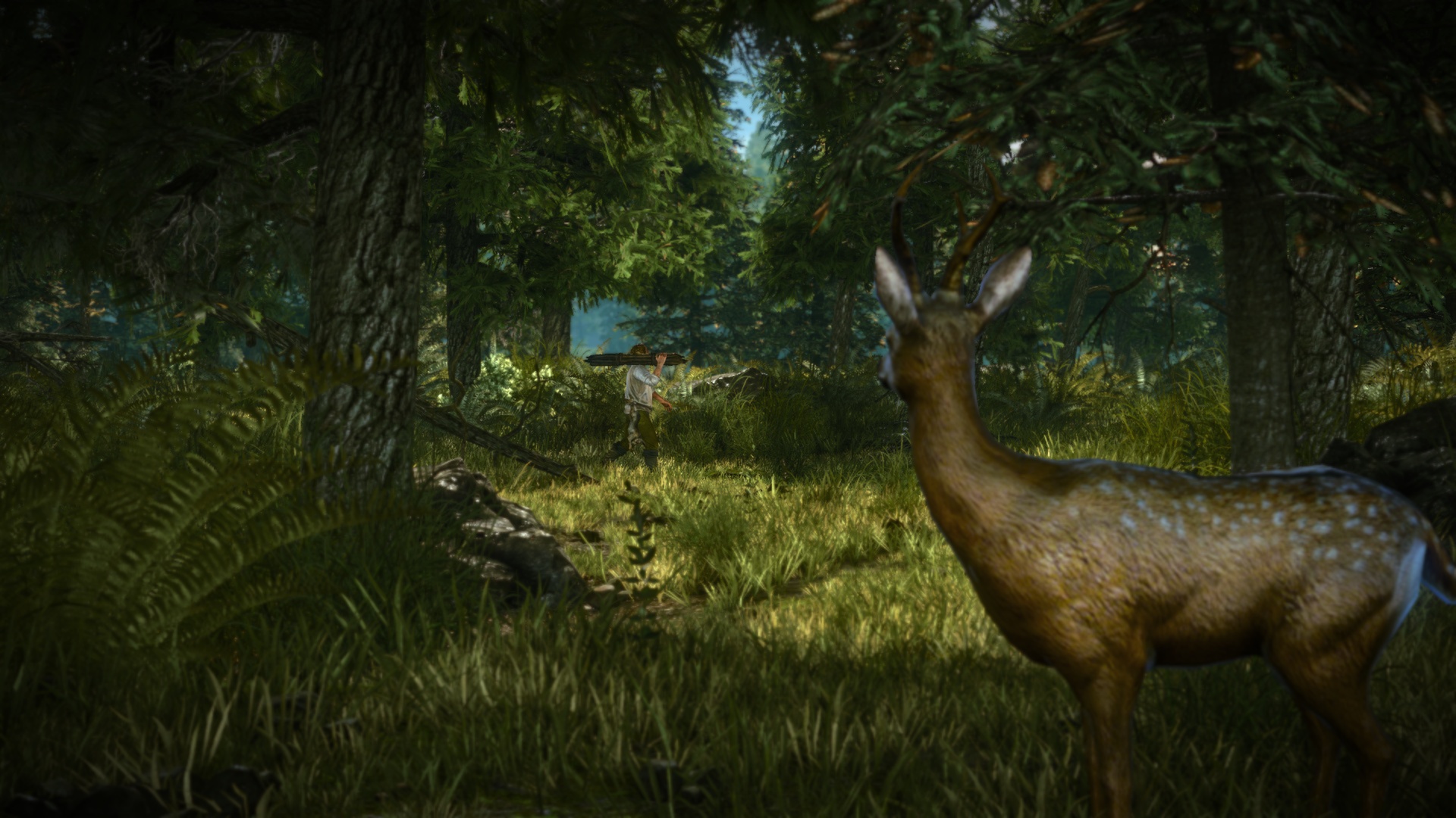 The Witcher 2: Assassins of Kings Enhanced Edition Preview 2