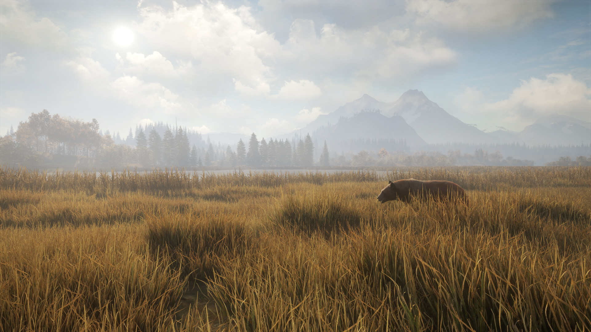 theHunter: Call of the Wild™ Preview 2