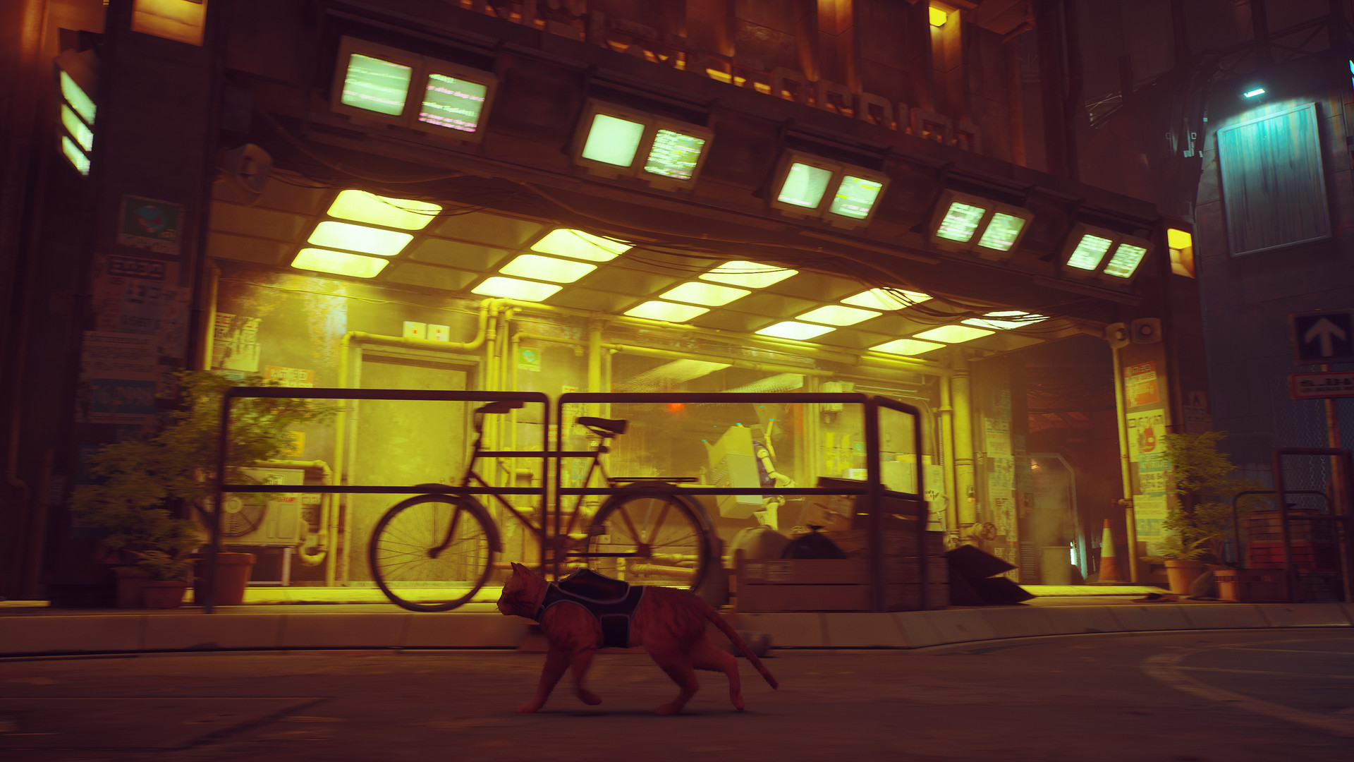 Stray Preview 4