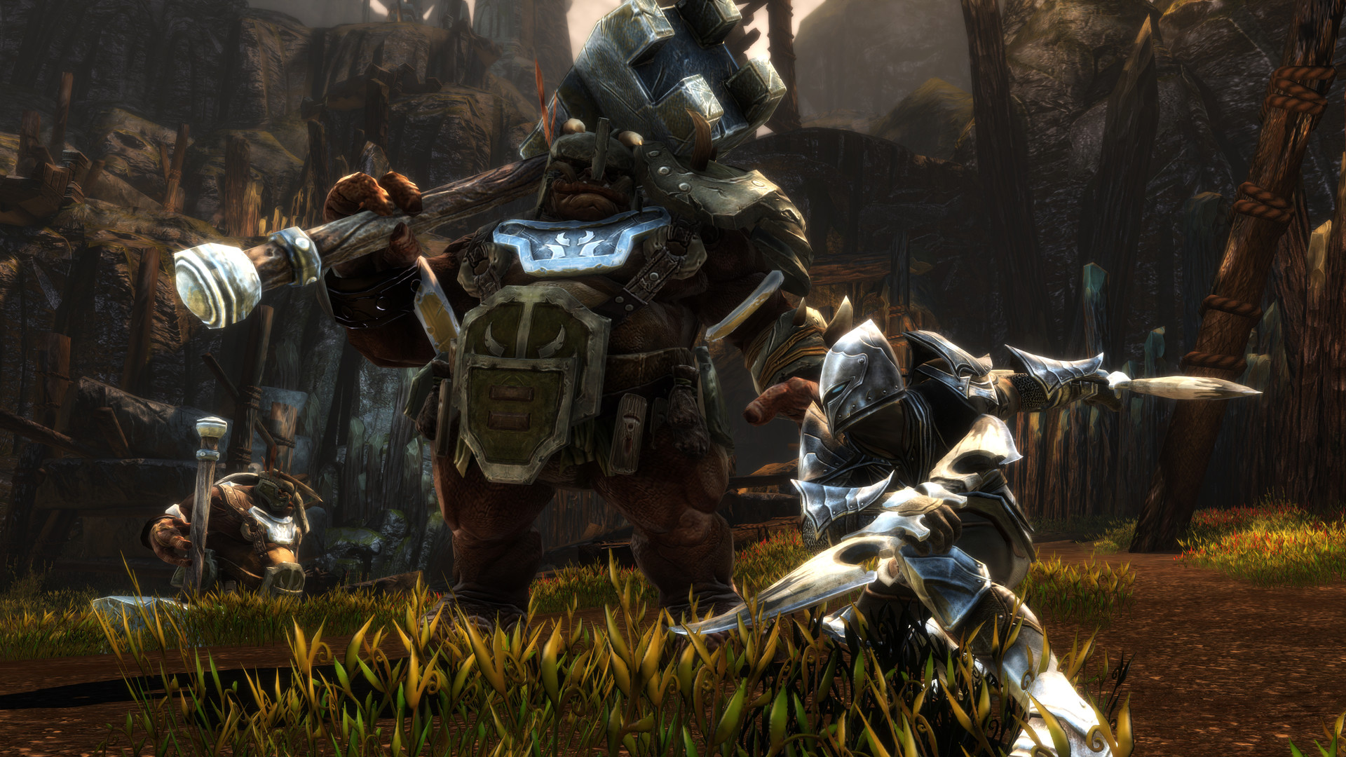 Kingdoms of Amalur: Re-Reckoning Preview 2