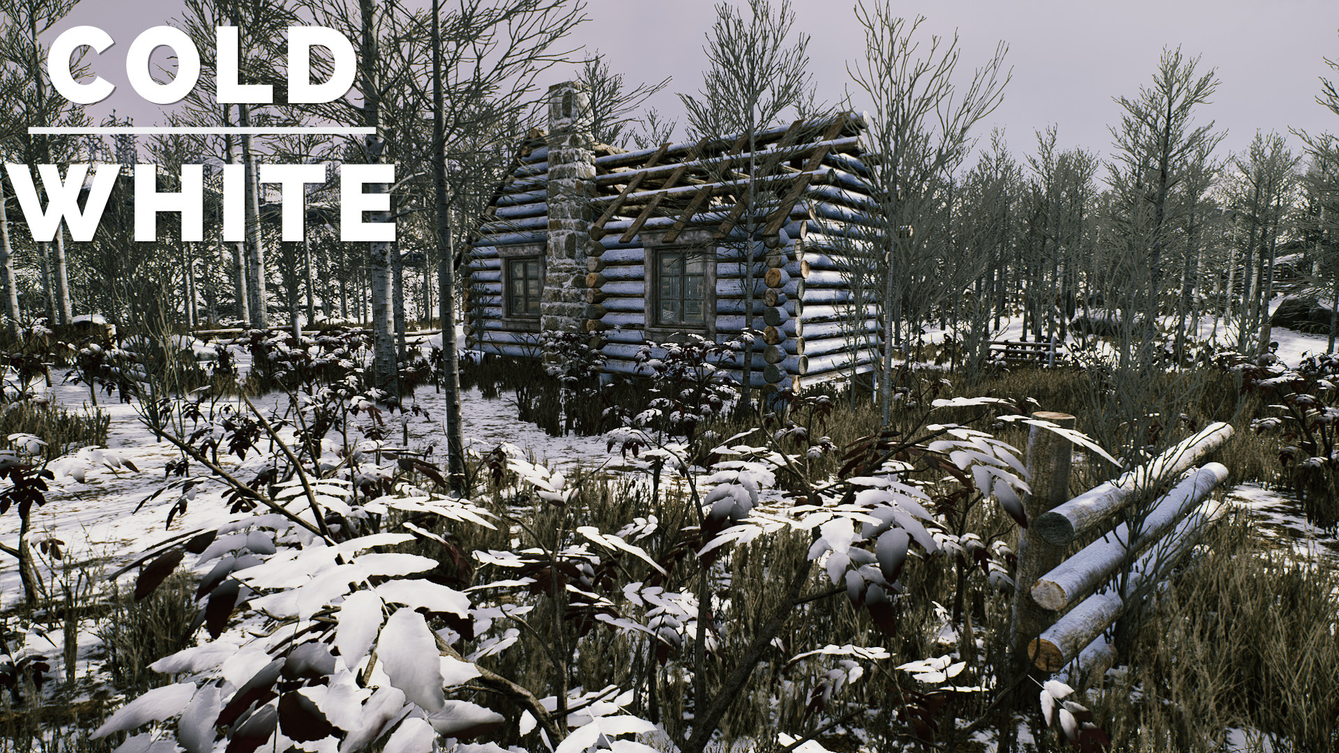 The Cold White Preview 1