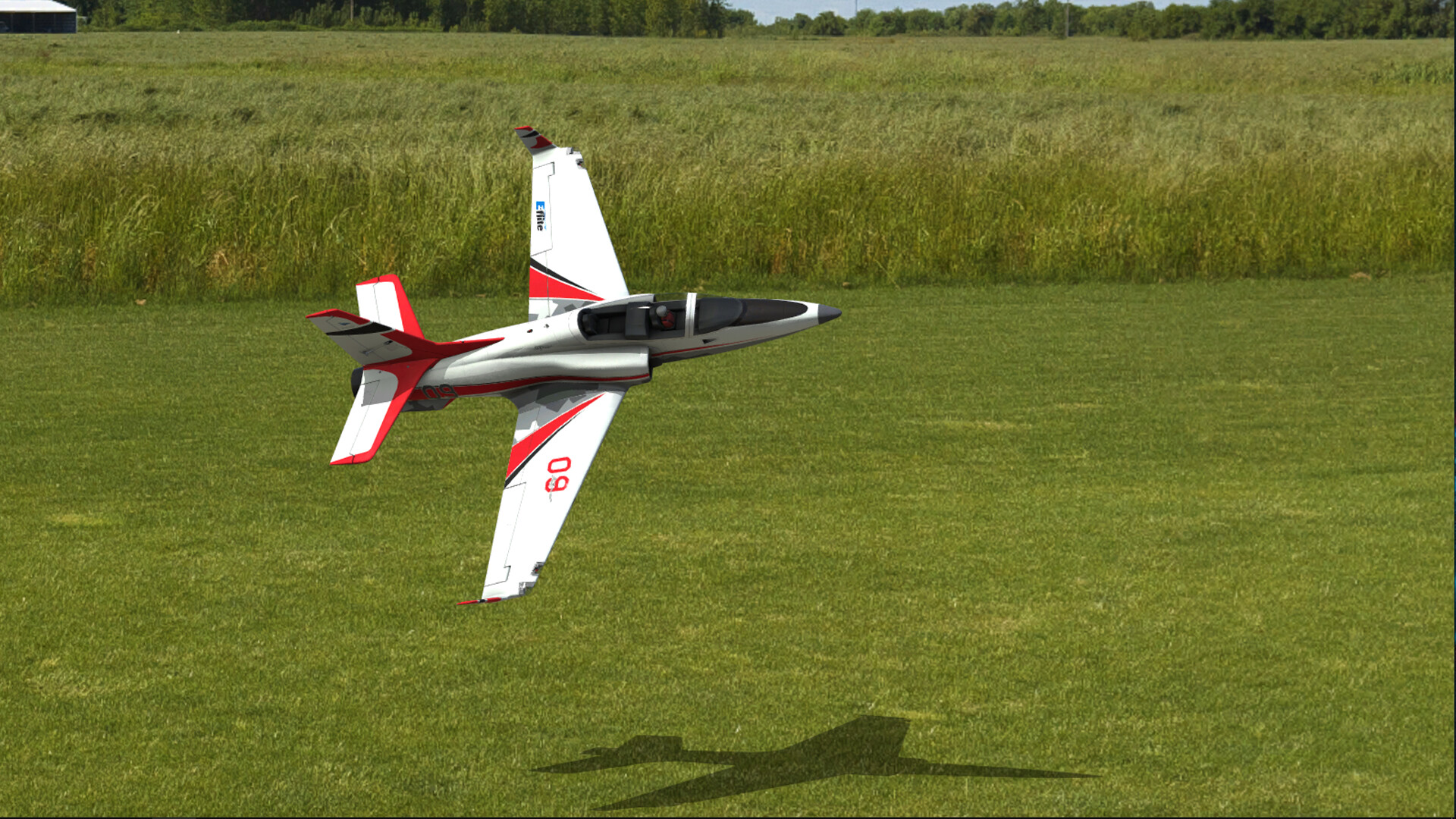 RealFlight Evolution Preview 5