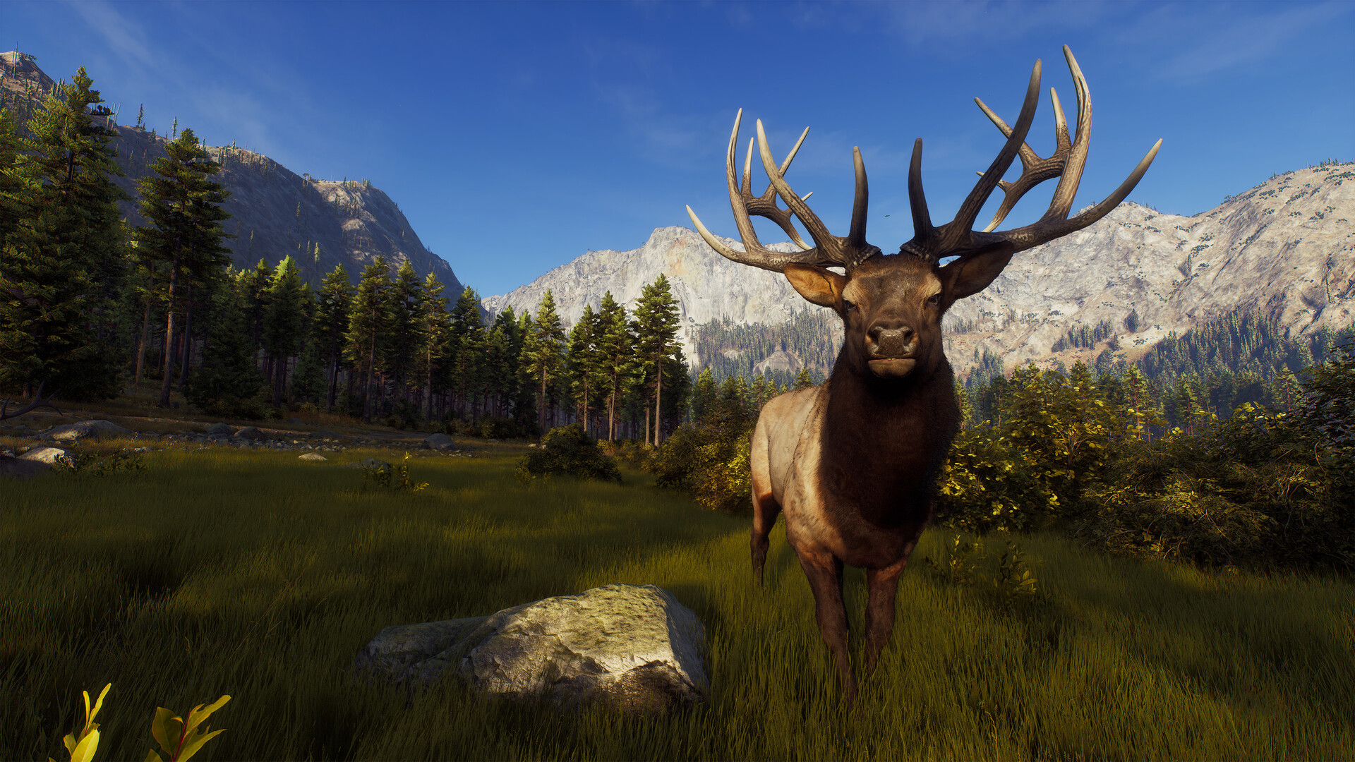 Way of the Hunter Preview 1