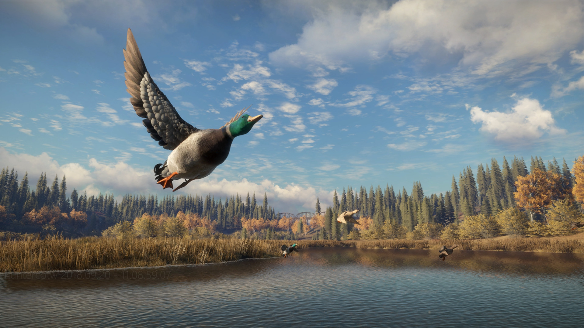 theHunter: Call of the Wild™ Preview 4
