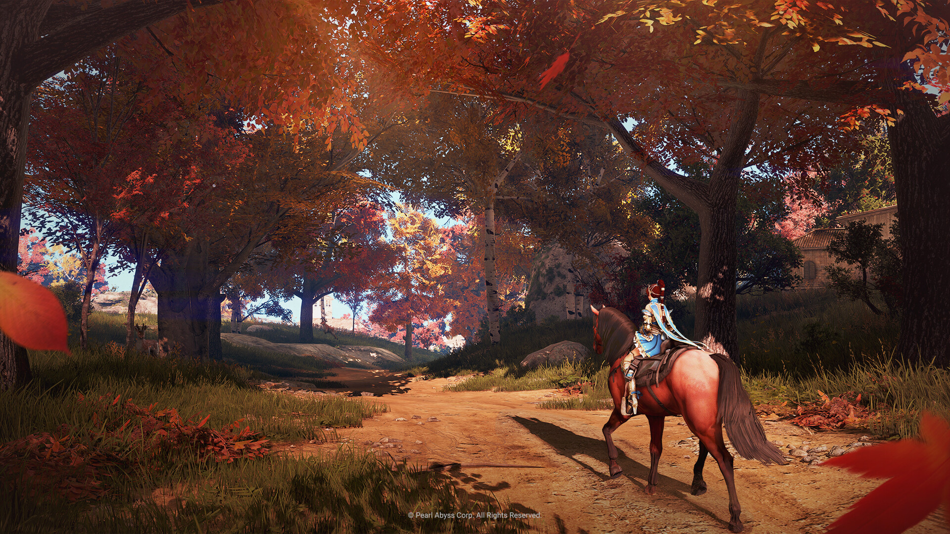 Black Desert Preview 5
