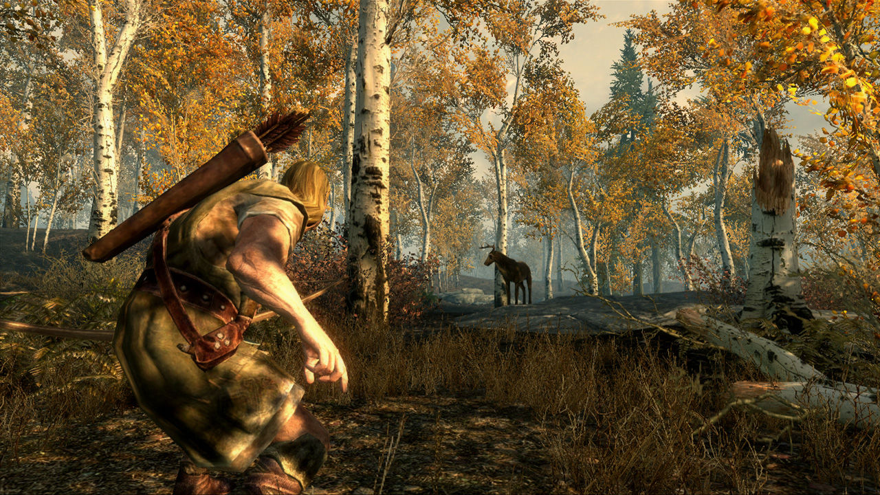 The Elder Scrolls V: Skyrim Preview 5