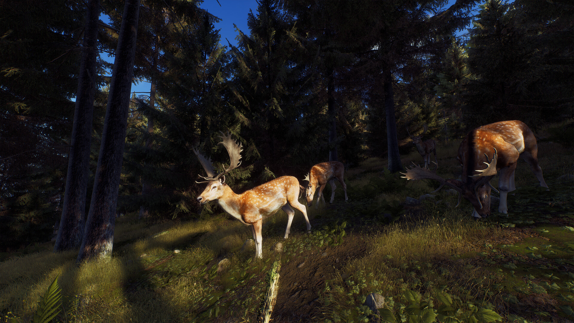 Way of the Hunter Preview 2