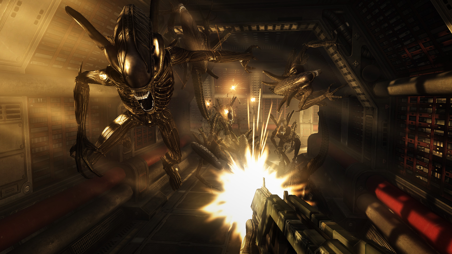Aliens vs. Predator™ Preview 3