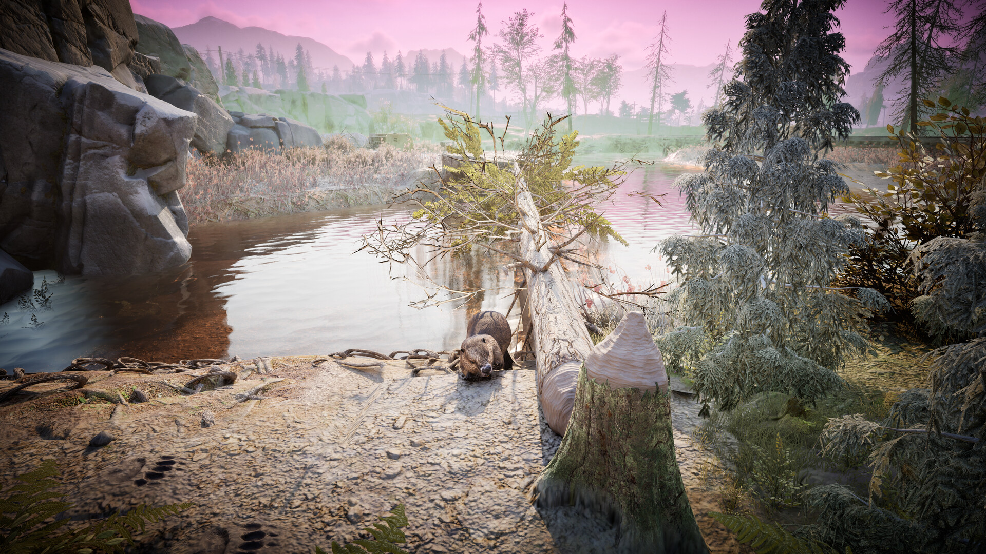 Winter Survival Preview 4