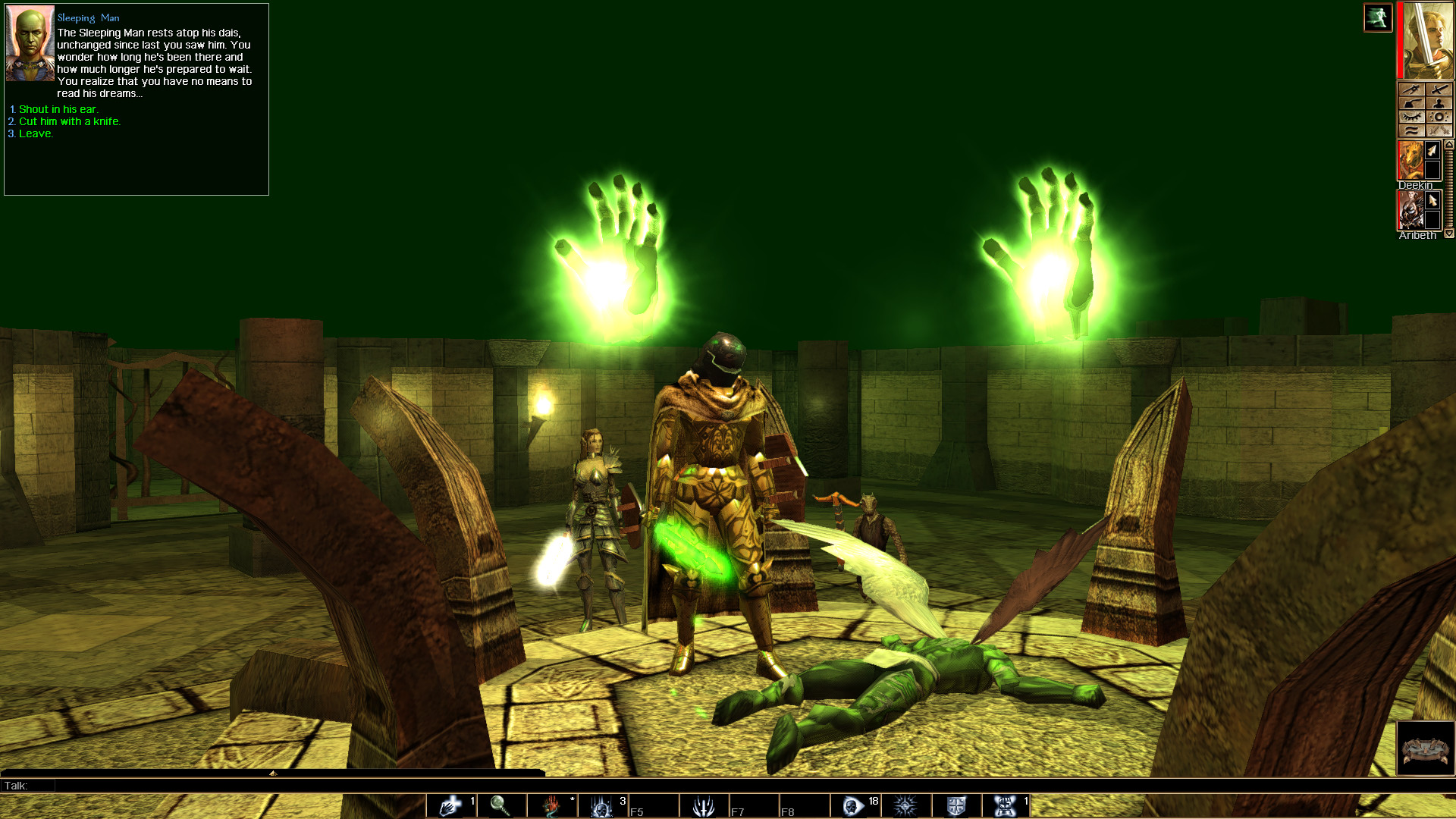 Neverwinter Nights: Enhanced Edition Preview 5