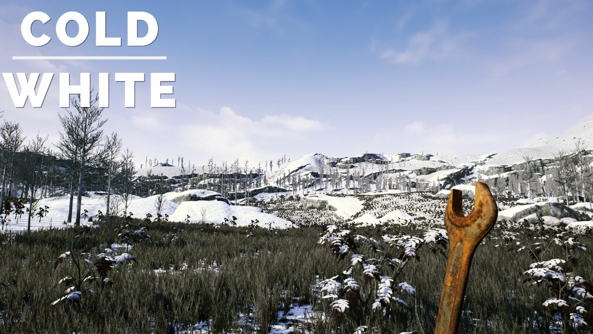 The Cold White Preview 4