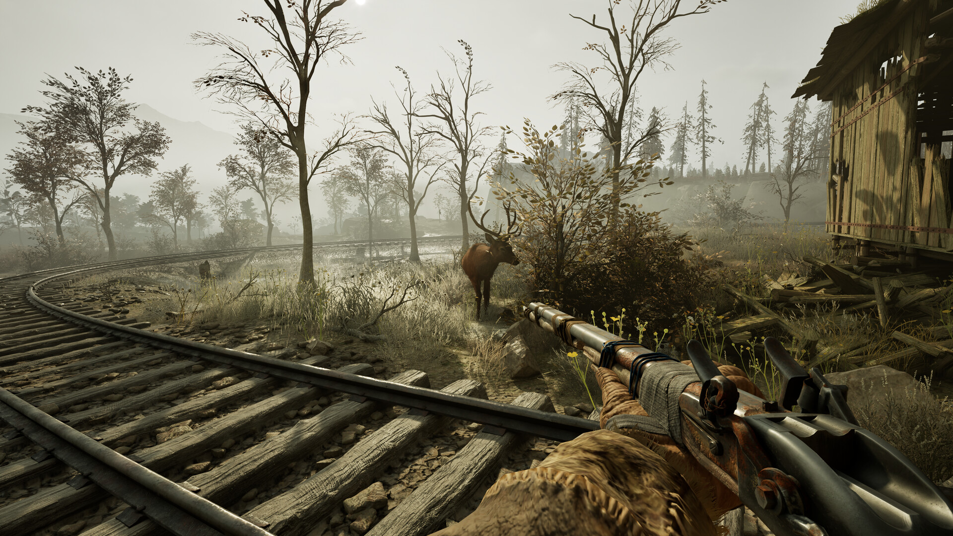 Winter Survival Preview 1