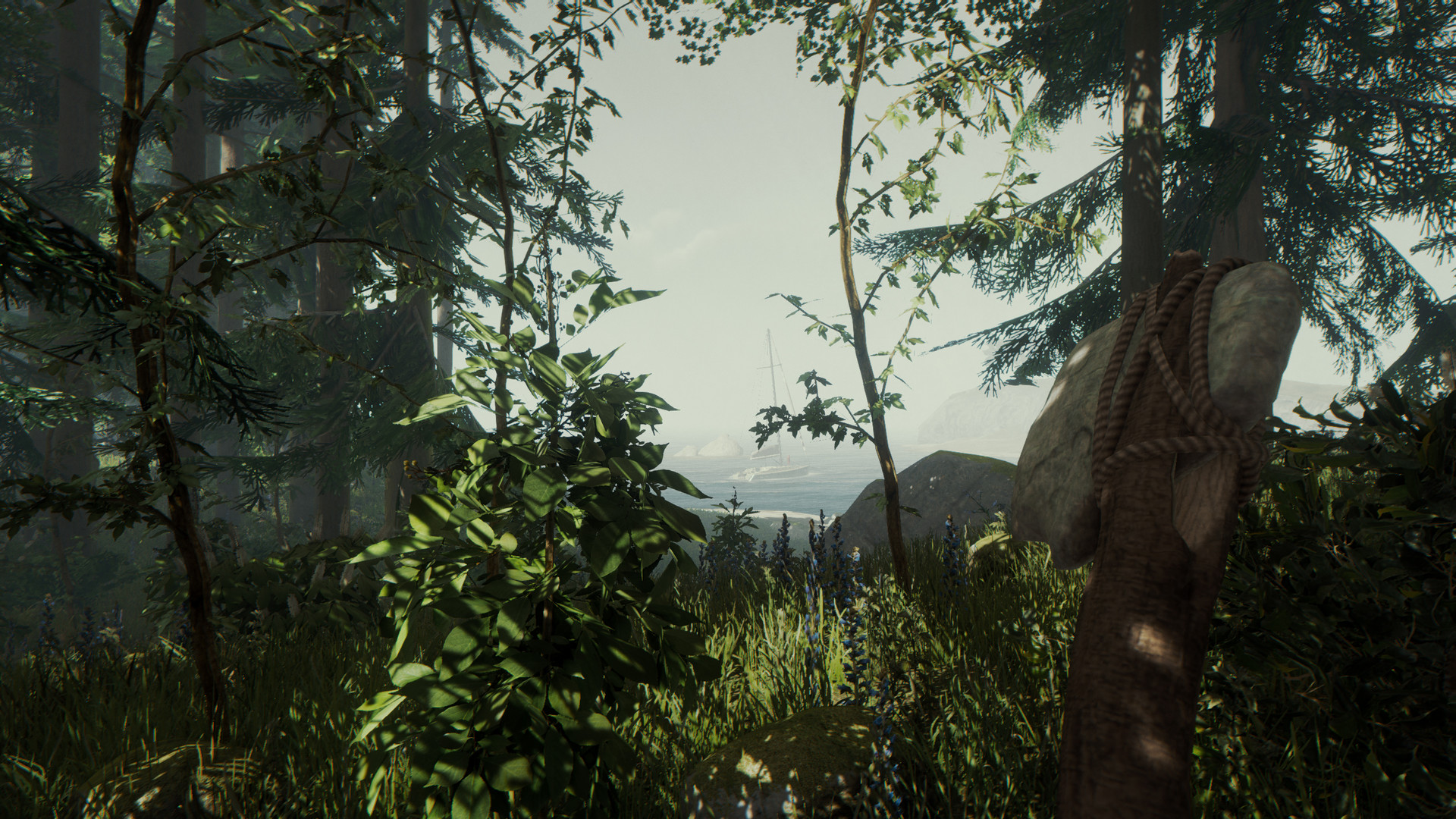 The Forest Preview 4