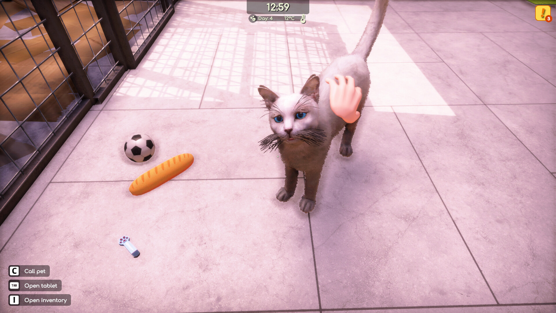 Animal Shelter 2 Preview 2