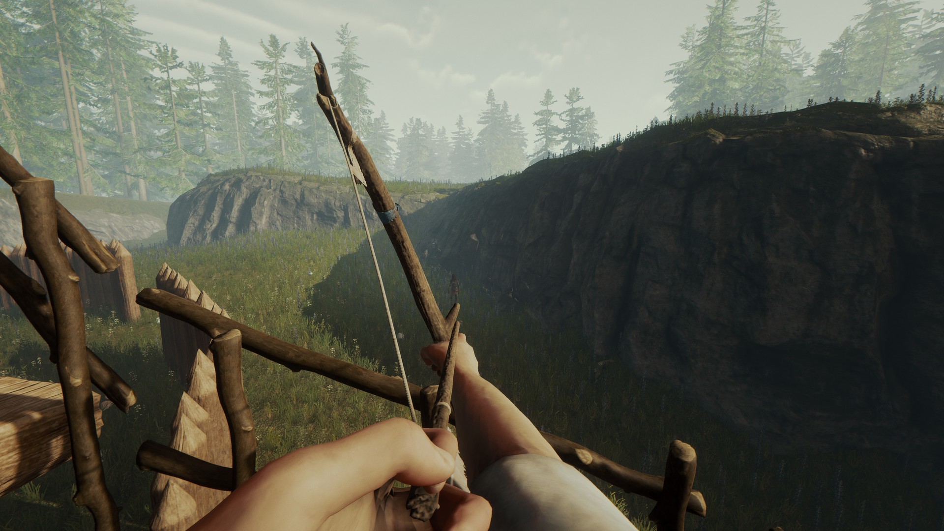The Forest Preview 5