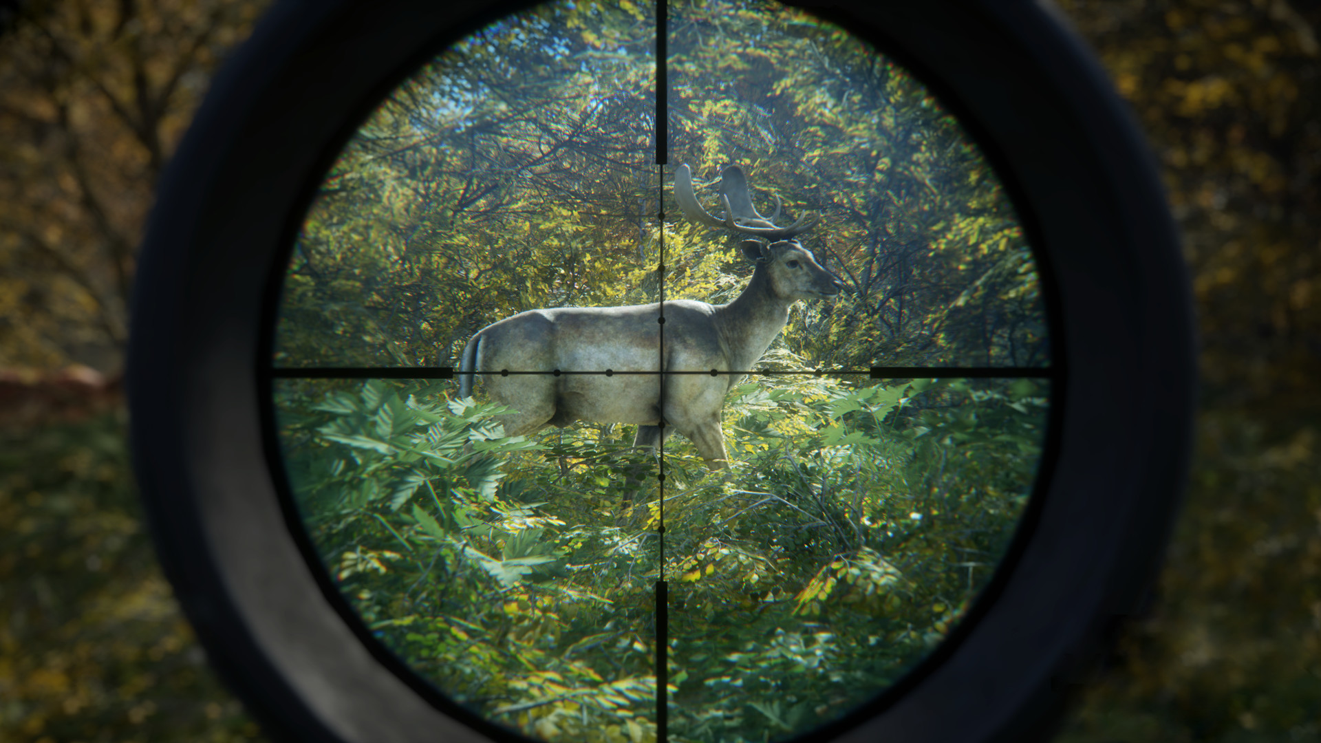 theHunter: Call of the Wild™ Preview 3