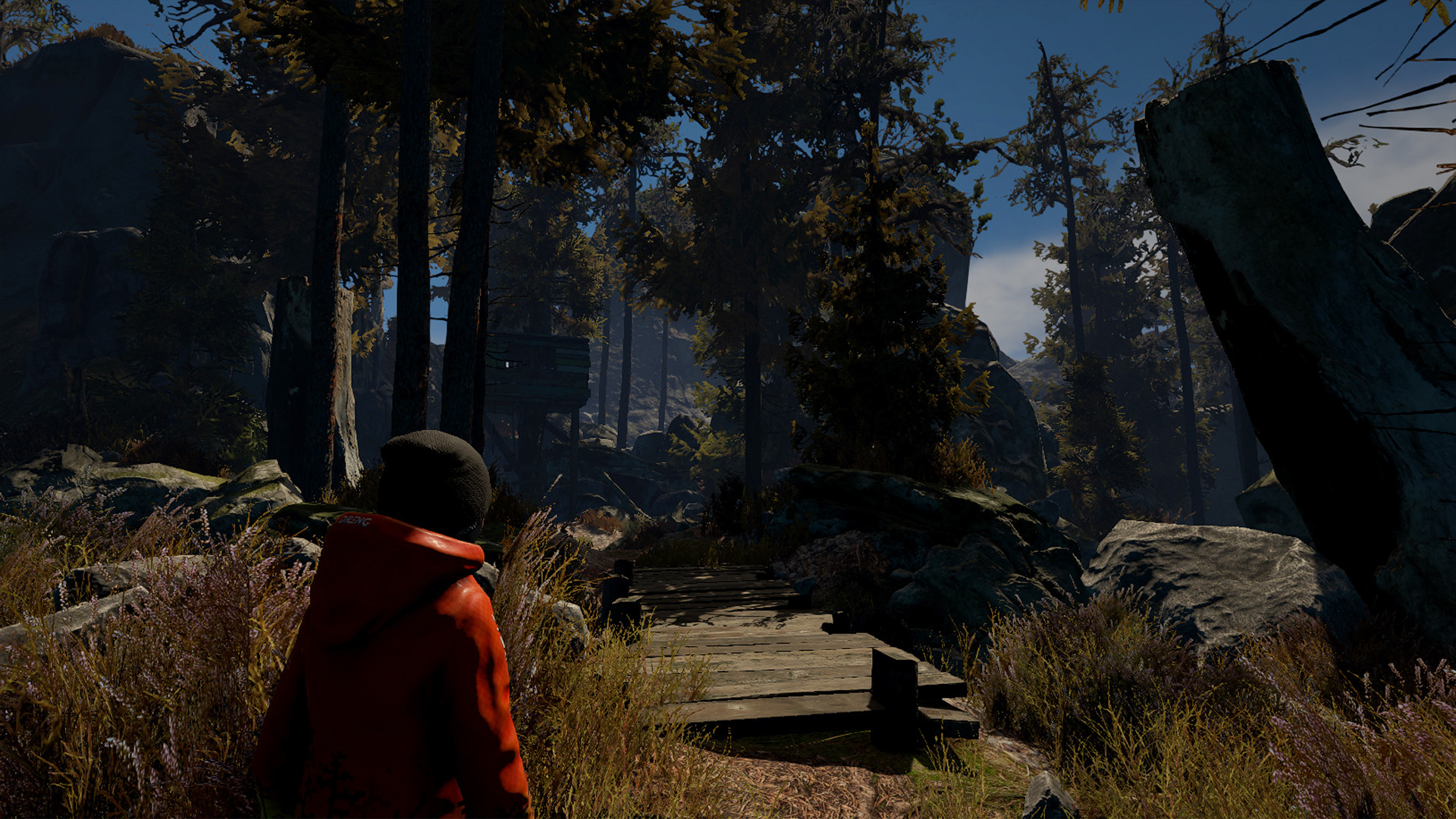 Through the Woods Preview 3