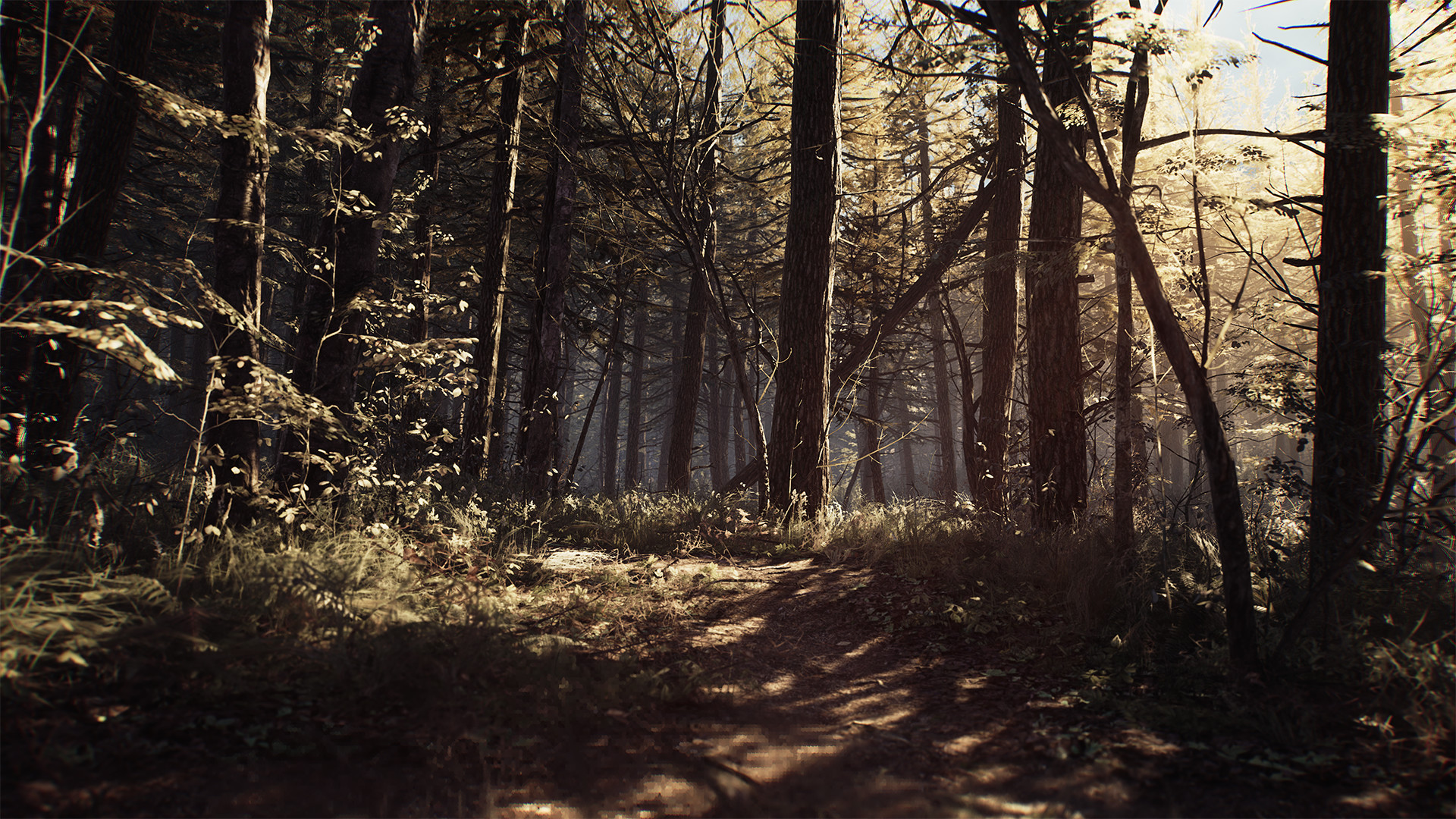 Blair Witch Preview 4
