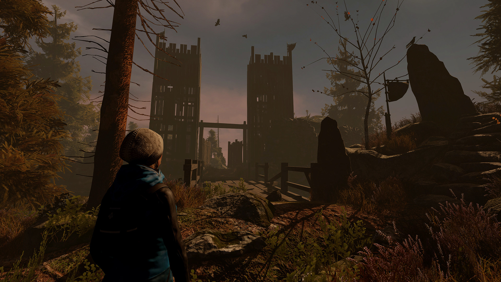 Through the Woods Preview 1