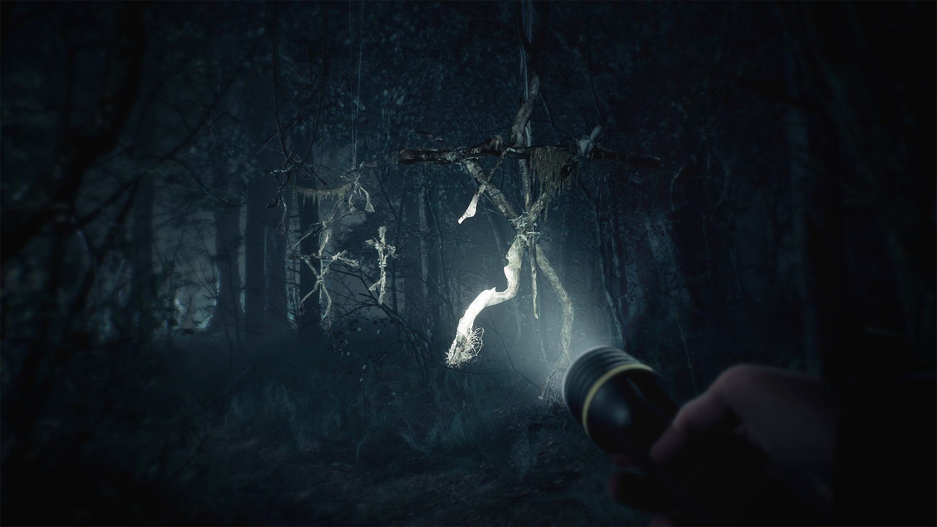 Blair Witch Preview 3