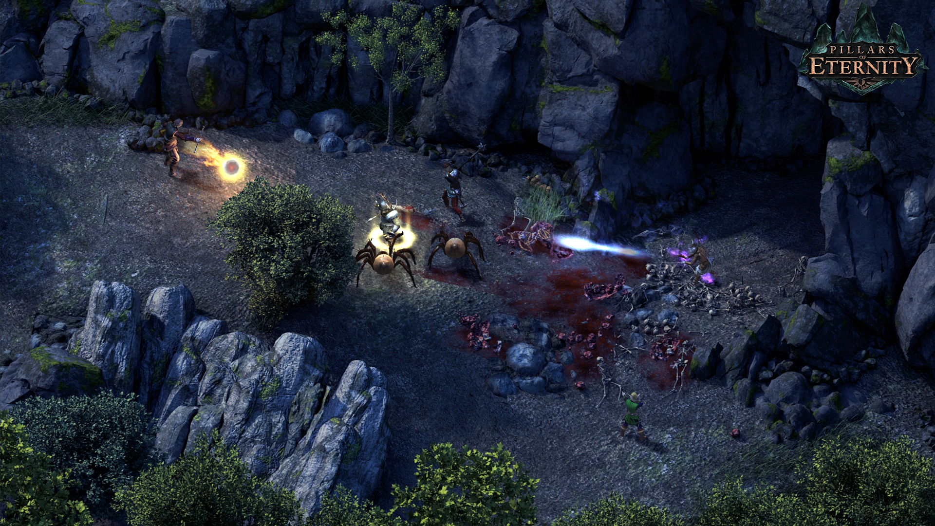 Pillars of Eternity Preview 4
