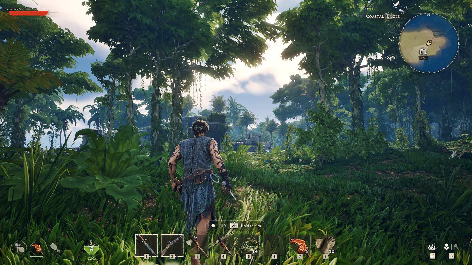 Windrose Preview 2