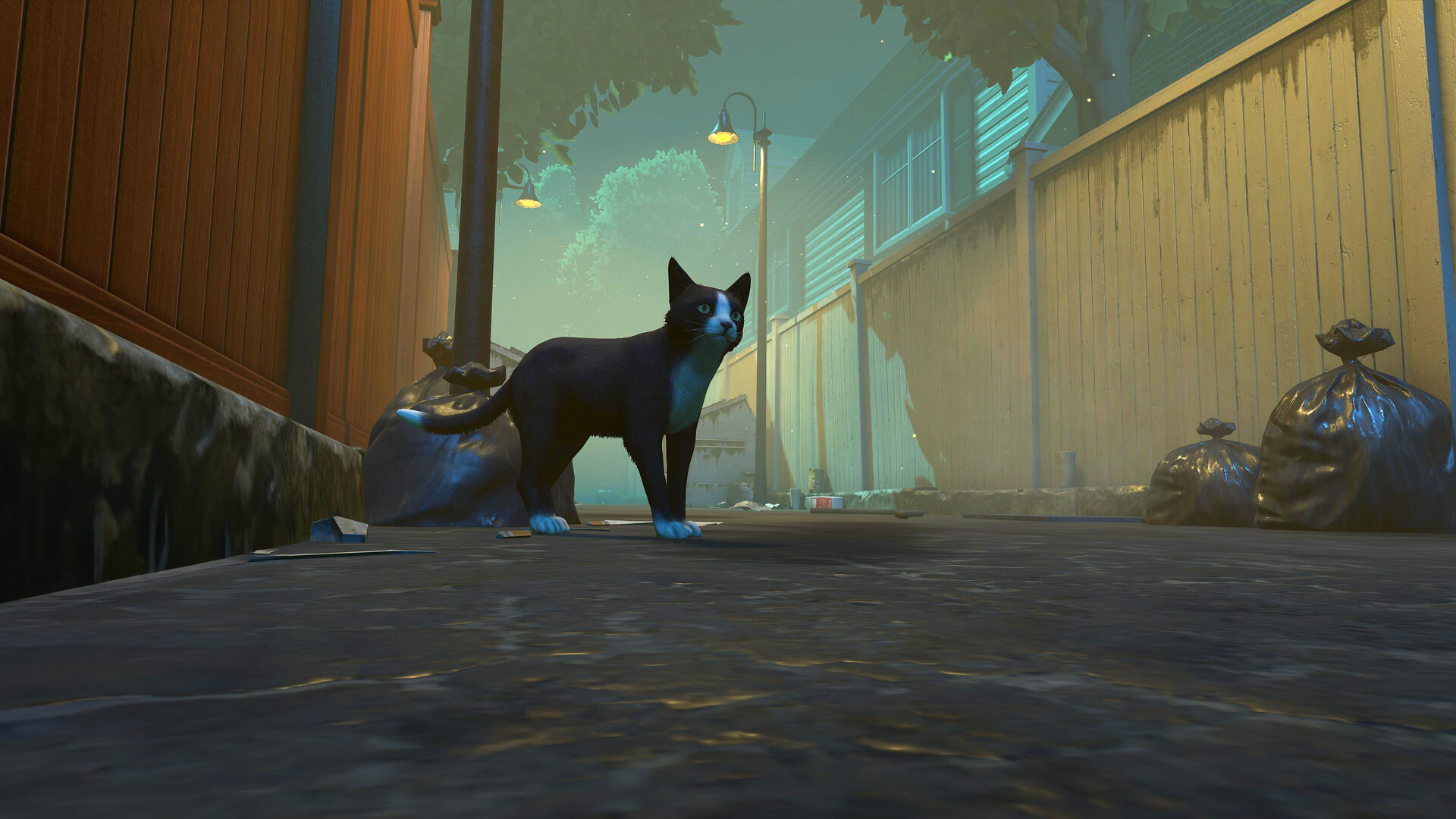 Copycat Preview 1