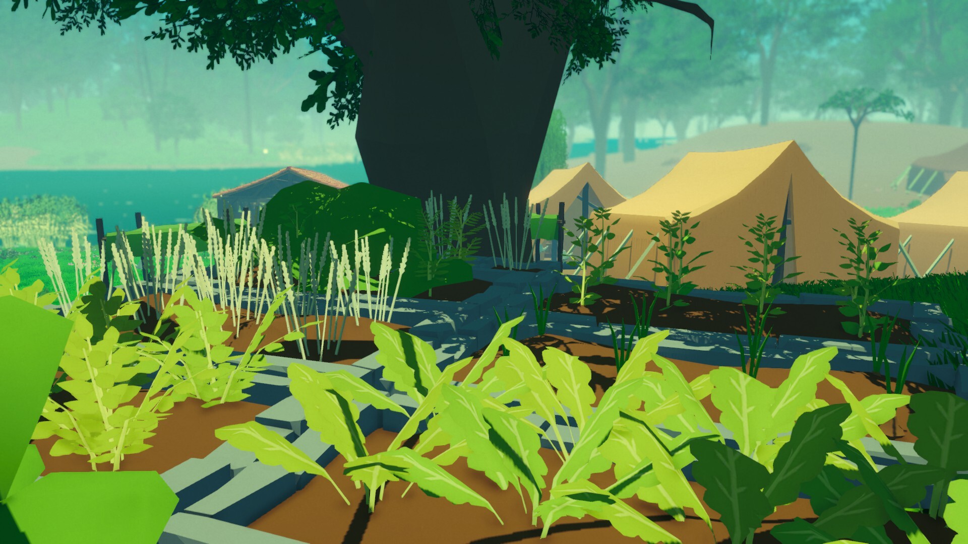 Summa Expeditionis Preview 4