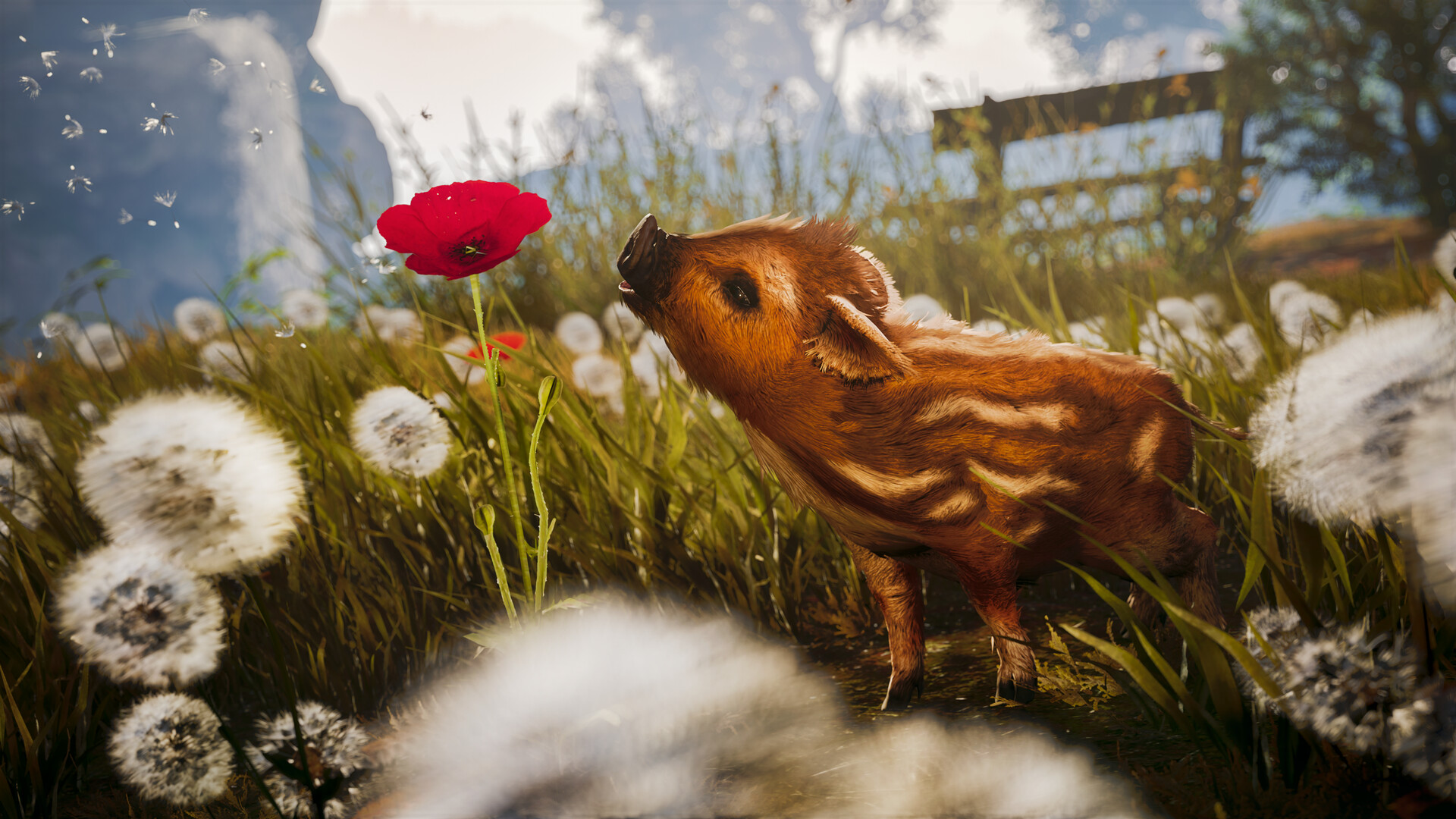 Adorable Adventures Preview 1