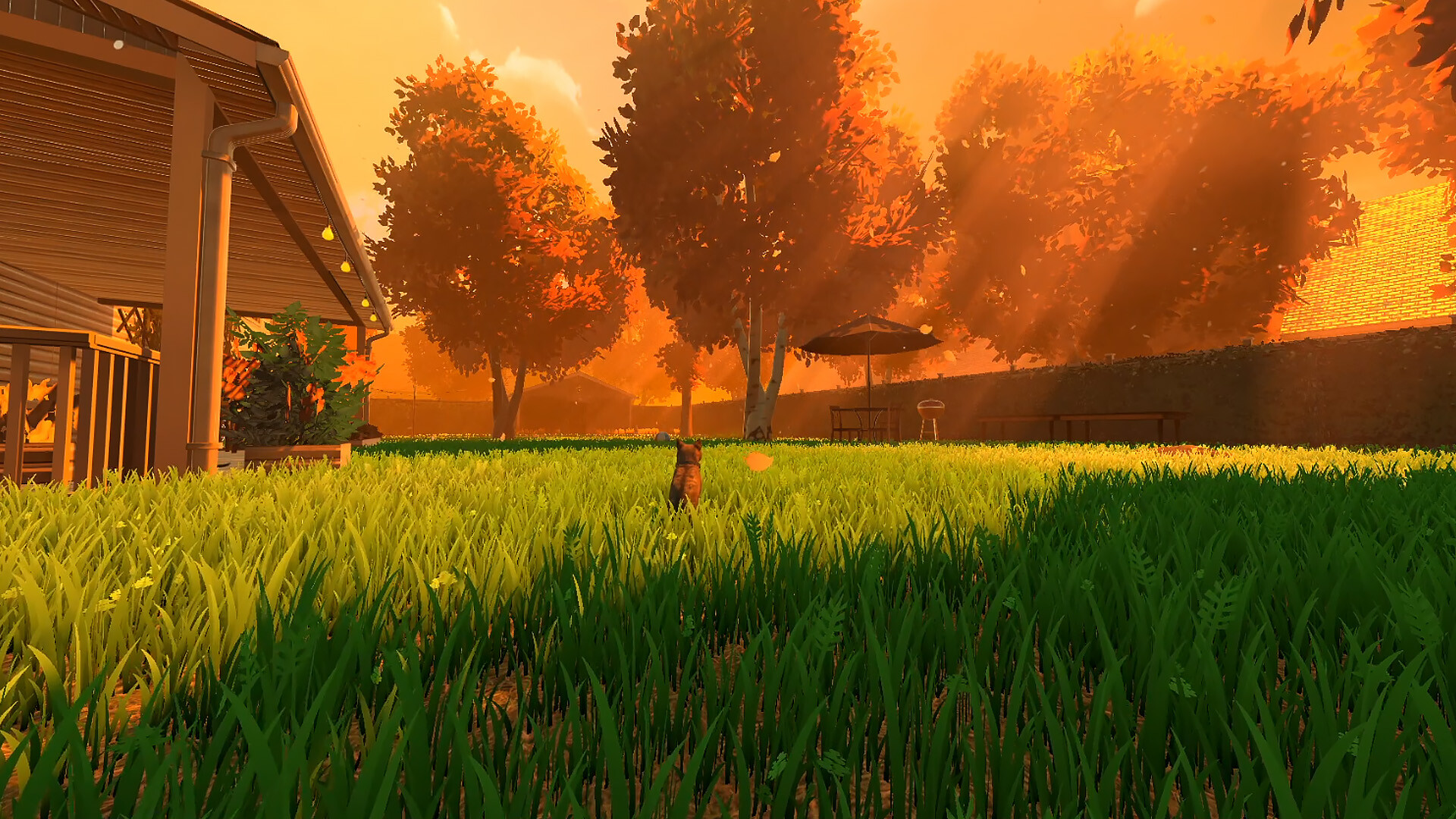Copycat Preview 5