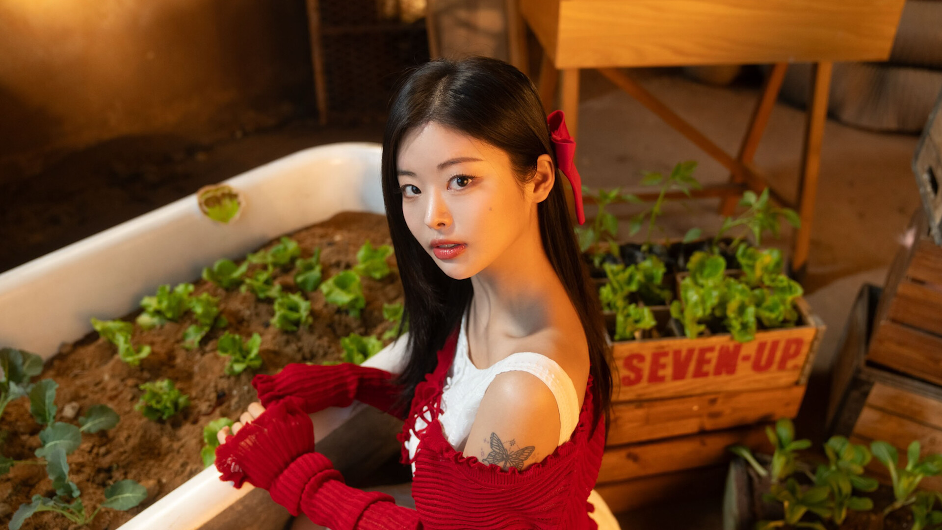 Beauties and the Stranded Preview 2