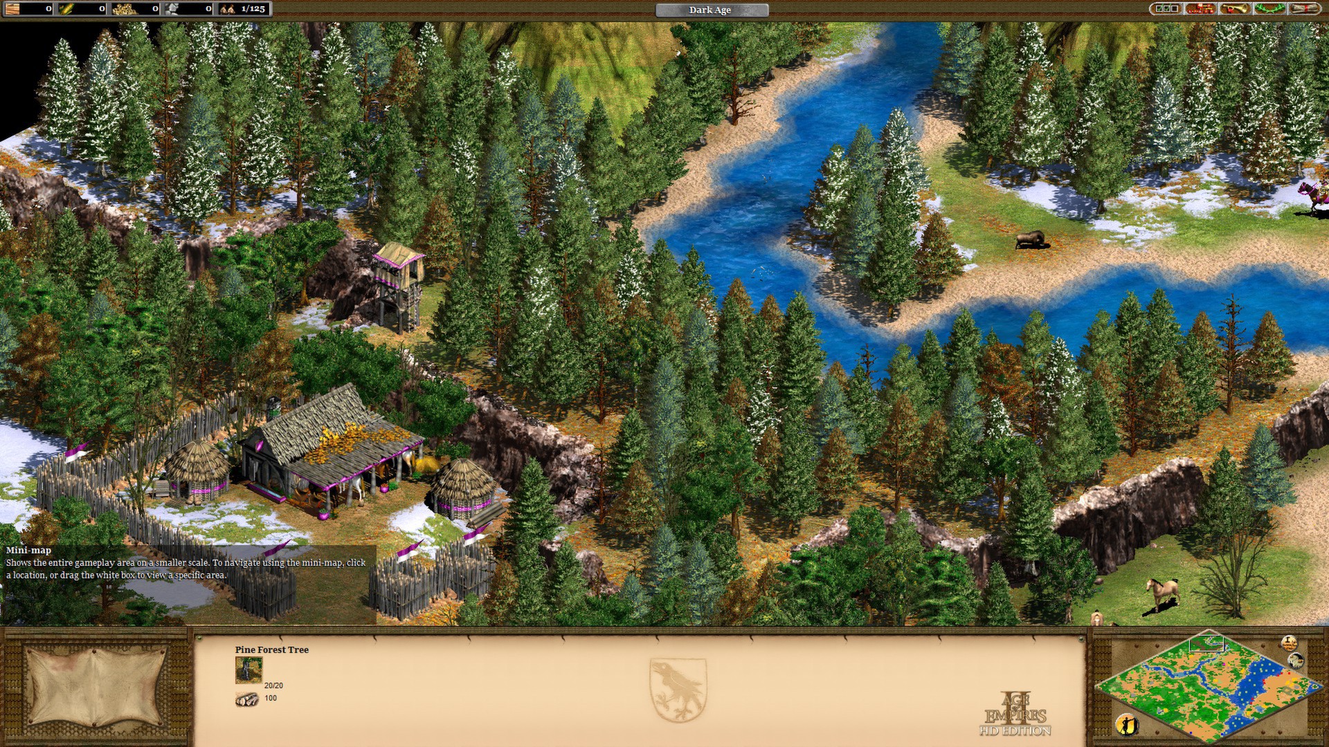 Age of Empires II (Retired) Preview 2