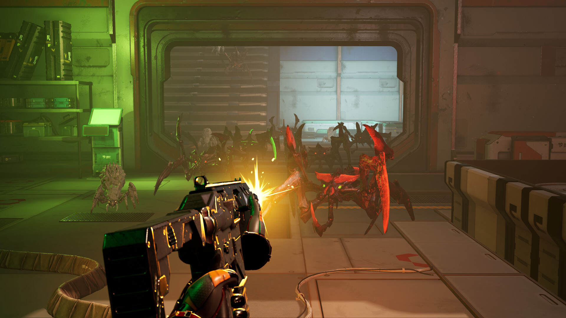 The Long Survival Preview 5