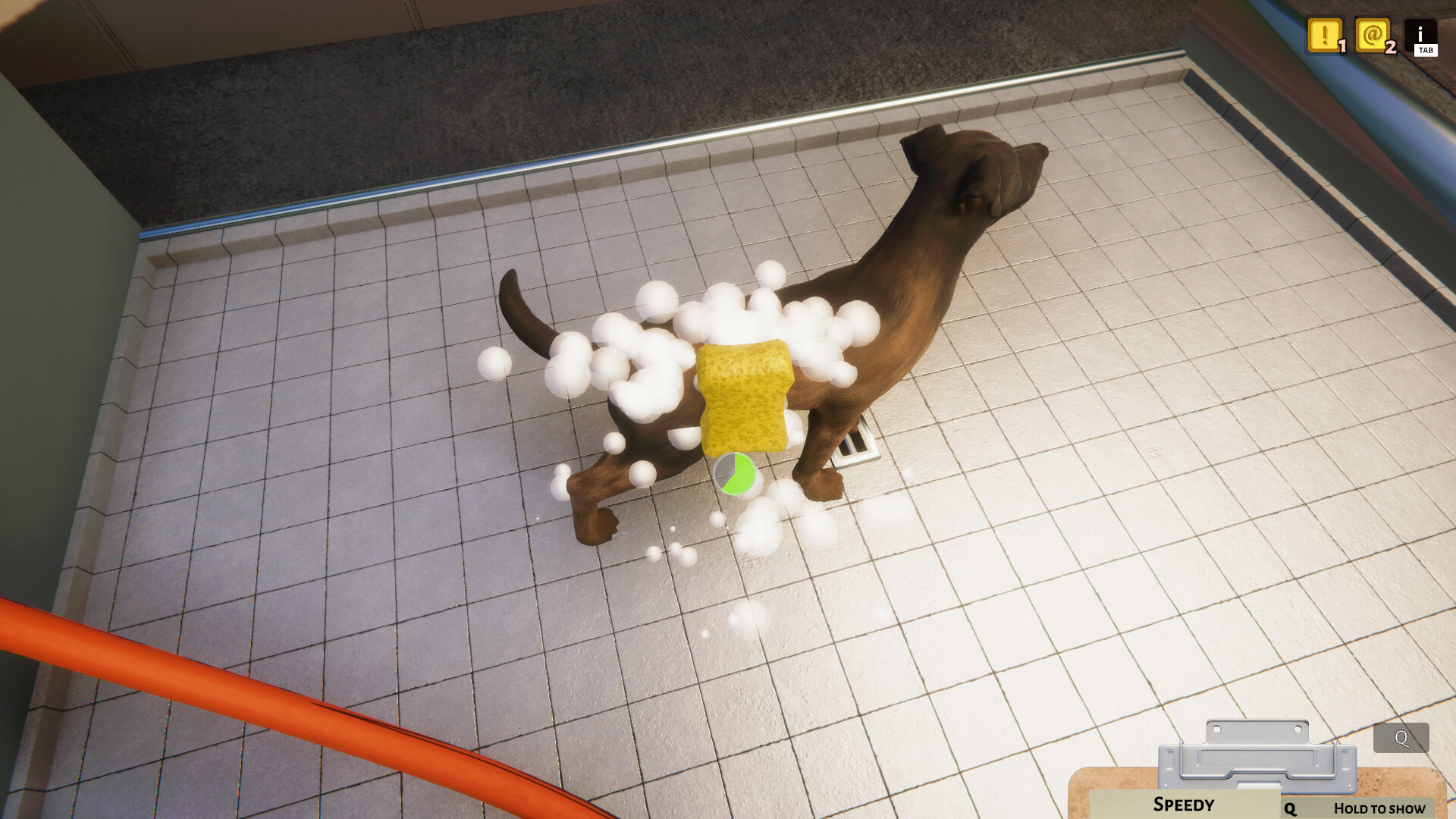Animal Shelter Preview 2