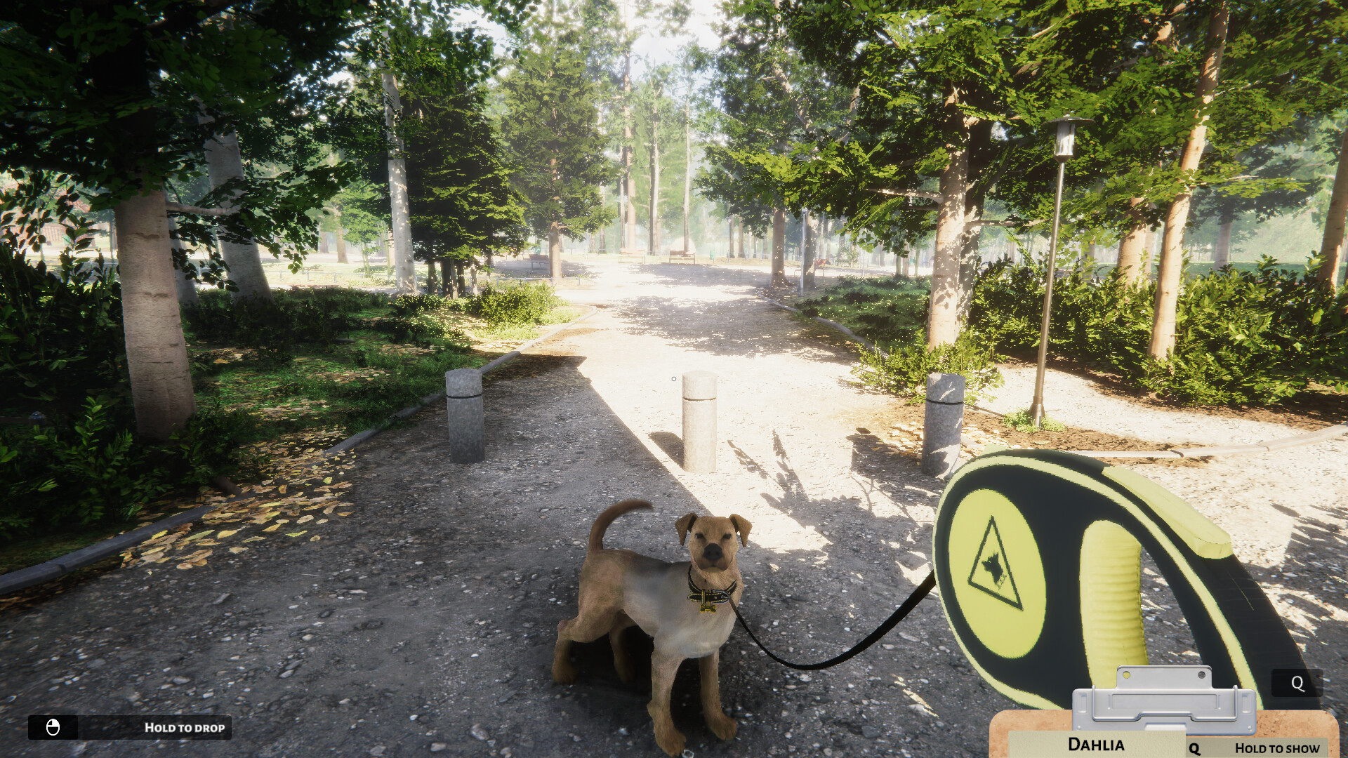 Animal Shelter Preview 1