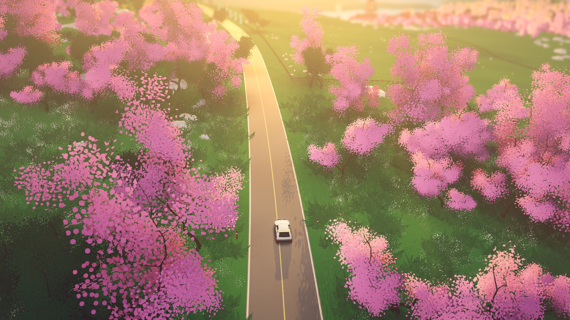 art of rally Preview 5
