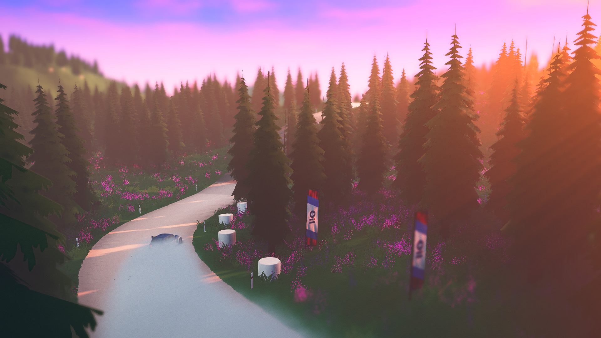 art of rally Preview 4