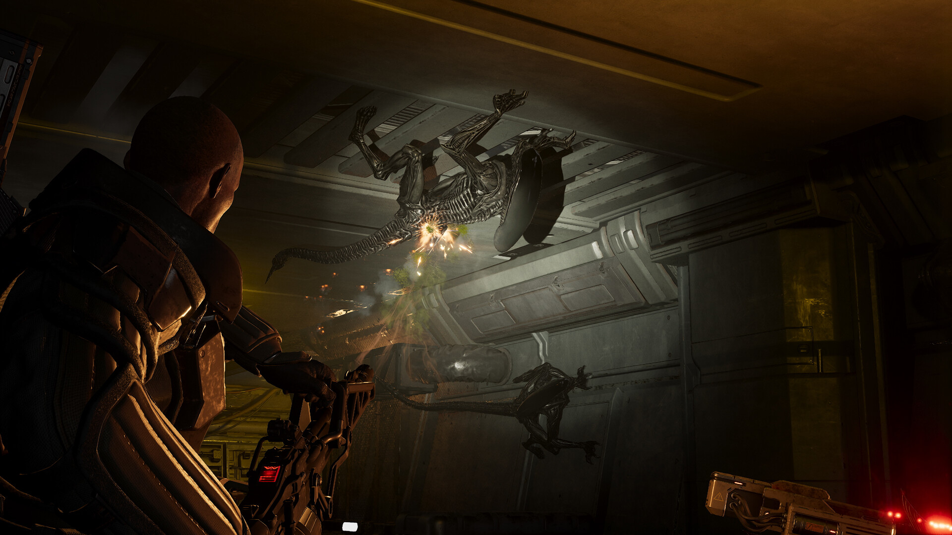 Aliens: Fireteam Elite 2 Preview 3